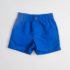 Stu Slicker Shorts: Royal